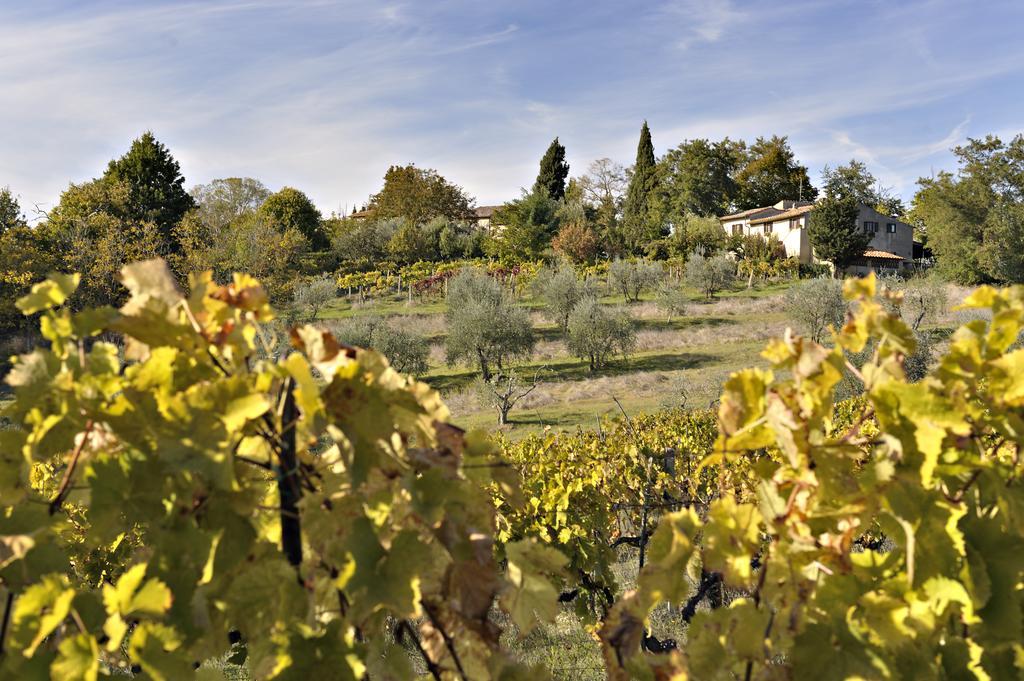 Pensjonat Il Casolare Di Libbiano San Gimignano Zewnętrze zdjęcie
